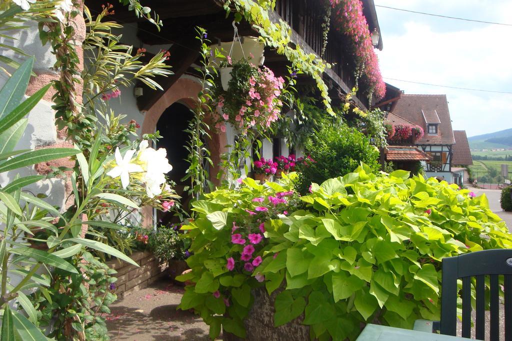 Hotel Kieffer Itterswiller Exterior foto