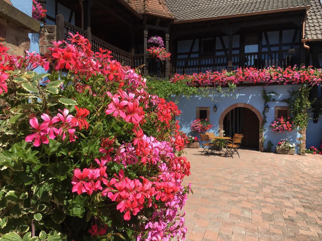 Hotel Kieffer Itterswiller Exterior foto